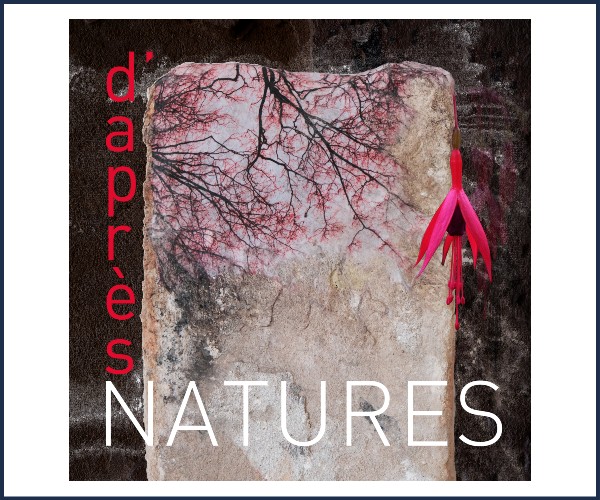 Lurs. D'après nature... Restitution
