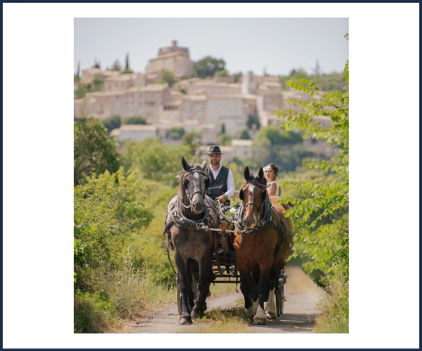Forcalquier. Balade en Calèche