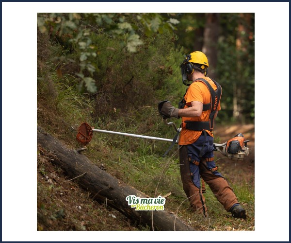 Méolans Revel. Vis ma vie de bûcheron