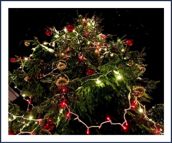Barcelonnette. Fééries de Noël 2024