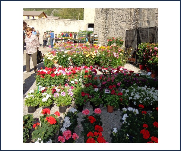 Colmars les Alpes. Fêtons le Printemps