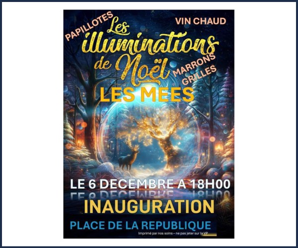 Les Mées. Les illuminations de Noël 2024