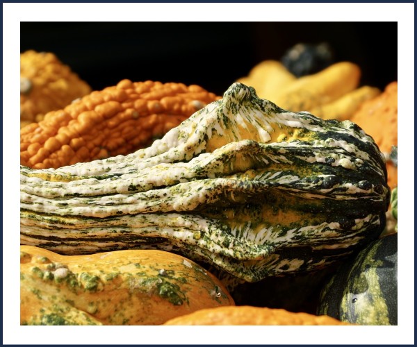 Image de l'événement