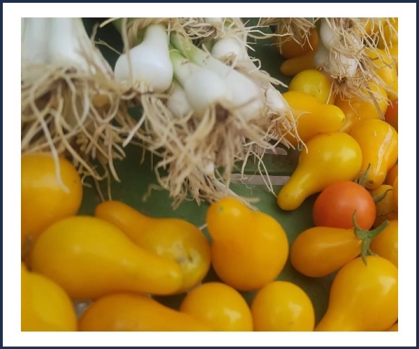 Image de l'événement