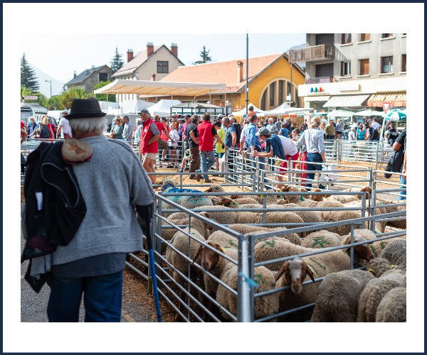 Barcelonnette. Foire Saint Michel