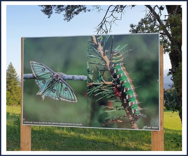 Auzet. Exposition Naturaliste En Plein Air