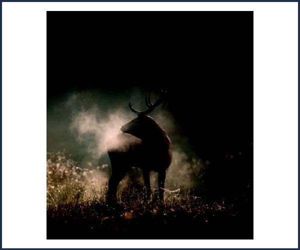 Image de l'événement