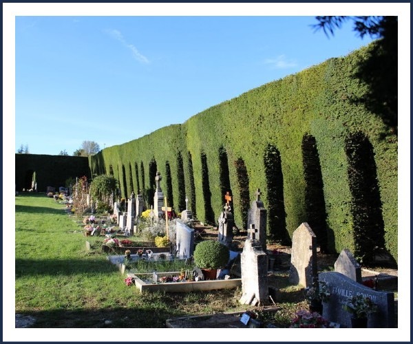 Image de l'événement