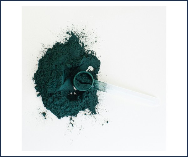 Digne les Bains. Conférence. La spiruline, le plus ancien des aliments du futur