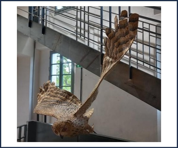 Image de l'événement