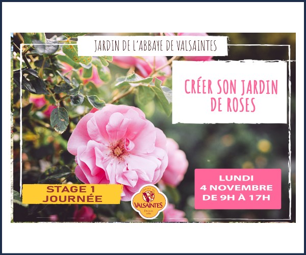 Simiane la Rotonde. Stage 1 Créer un jardin de roses