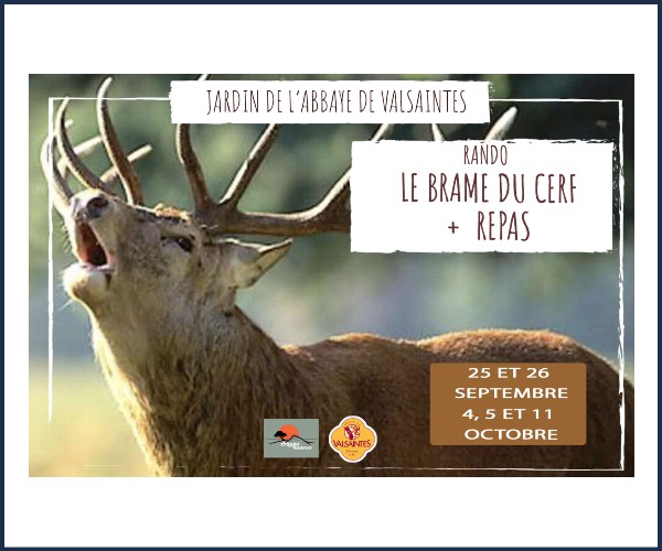 Simiane la Rotonde. Randonnée Brame du cerf et repas