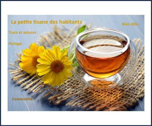 Château Arnoux Saint Auban. La petite tisane des habitants de Noël