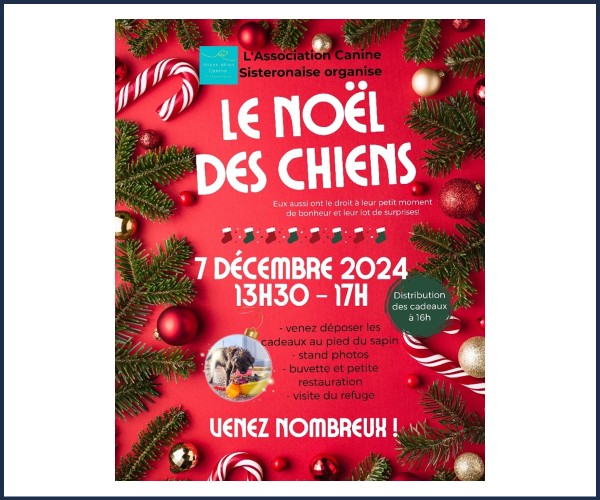 Mison. Le Noël des Chiens