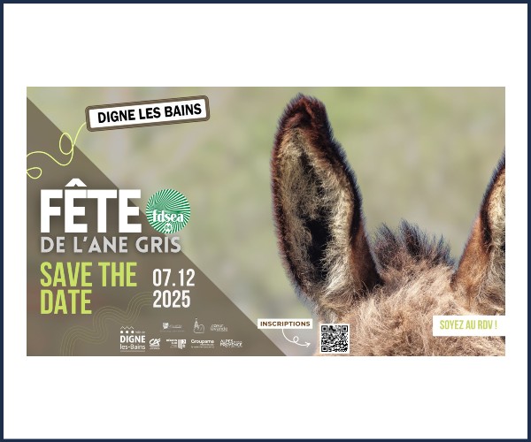 Digne les Bains. 27ème édition Fête de l'Âne Gris