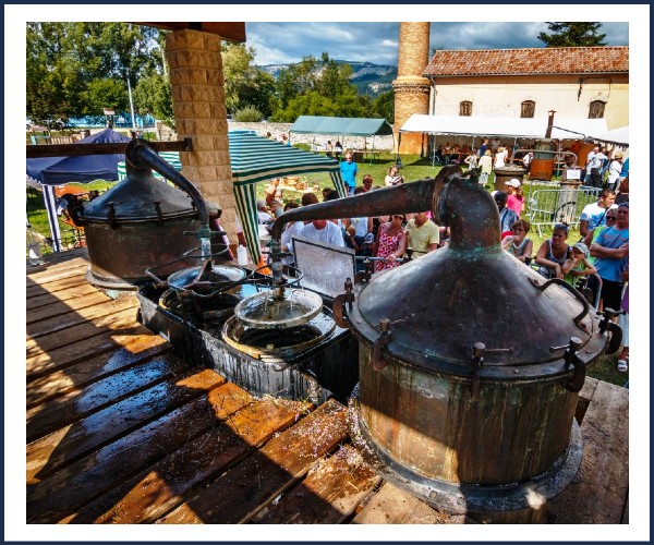 Barrême. Fête de la Lavande