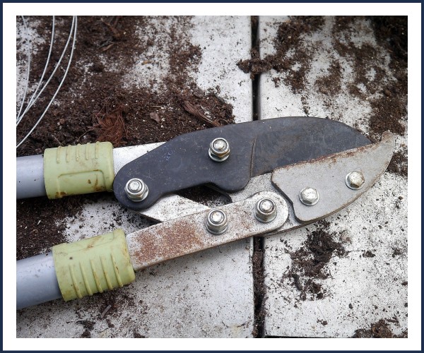 Saint André les Alpes. Les Ateliers Deffinov