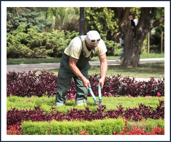 Saint André les Alpes. Les Ateliers Deffinov