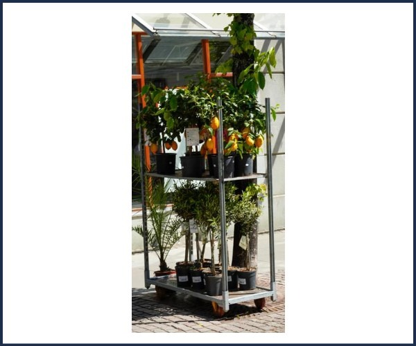 Vide greniers et vente de plants à Digne-les-Bains