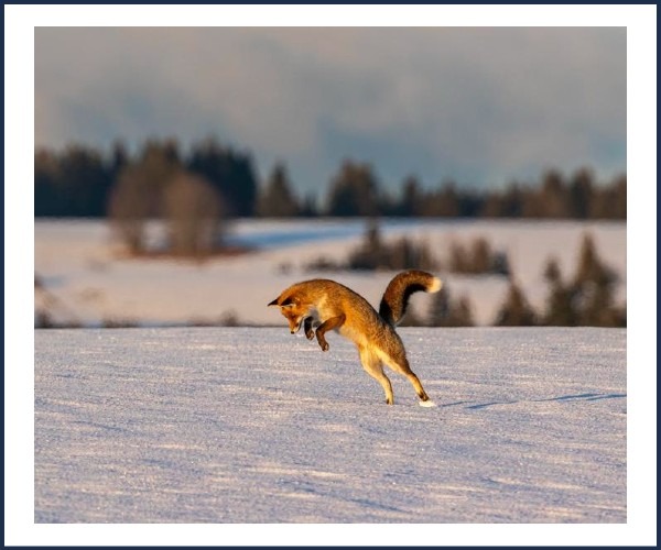 Image de l'événement