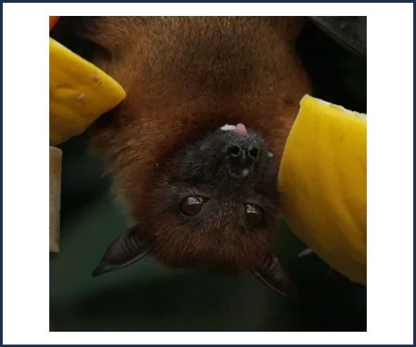 Image de l'événement