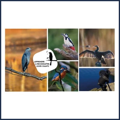 Balade ornithologique au Lac de L'Escale