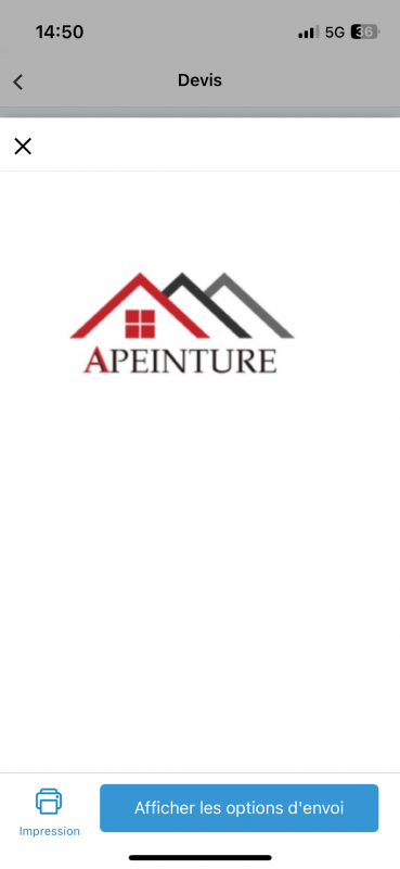 APEINTURE