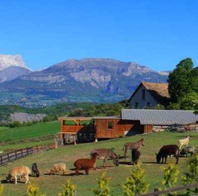 Gaec Saveurs des Claux