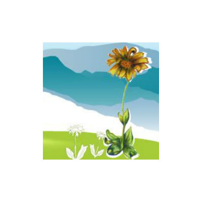 Arnica Montana