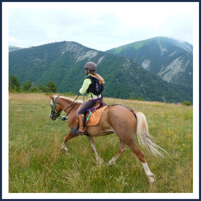 Les Chevaux de Roquepine