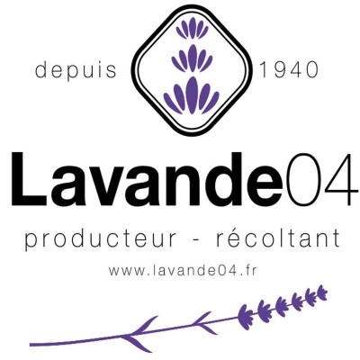 Lavande04