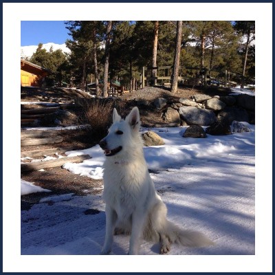 Gîte Le Loup Blanc du Riou