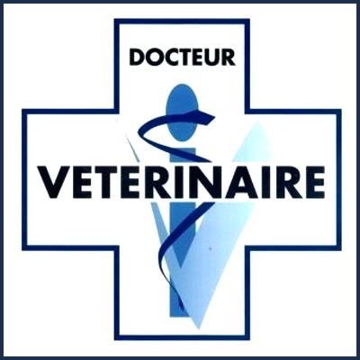 Clinique Vétérinaire Oraison