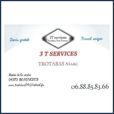 3T Services