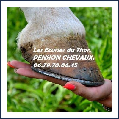 Les Écuries du Thor