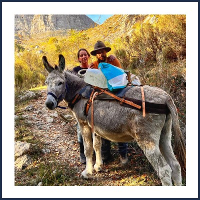 Gaec La Ferme du Château