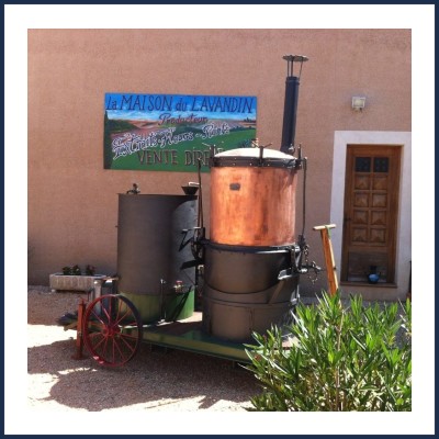 La Maison du Lavandin Sainte Croix du Verdon