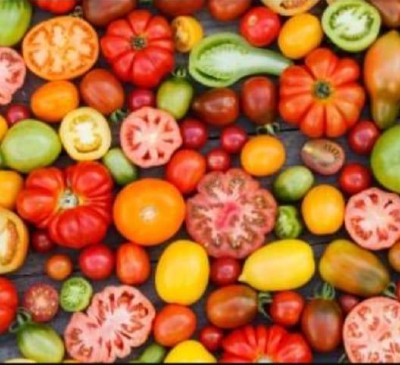 Les Petits Maraîchers Oraison