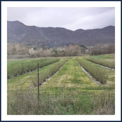 Les Champs de Prélauron