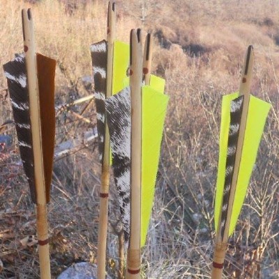 Arc Bois Chasse Archerie Primitive