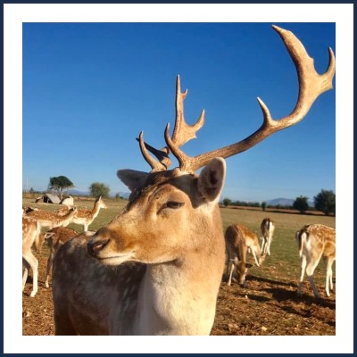 Gîte Ferme de La Bohème