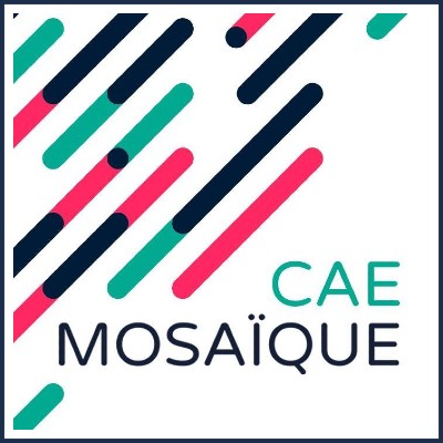 Mosaïque Coopérative d'Activités et d'Entrepreneurs