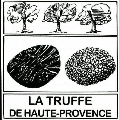 Association des Trufficulteurs Mane