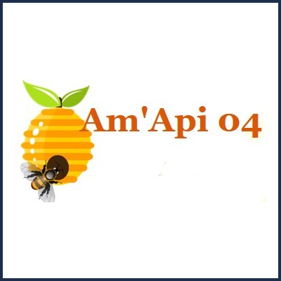 Association Am'Api 04