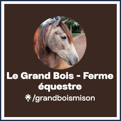 Ferme Équestre du Grand Bois