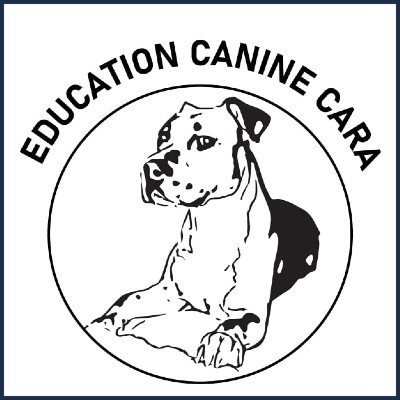 Éducation Canine Cara