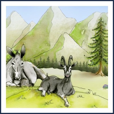 La Saoume Savon Artisanal