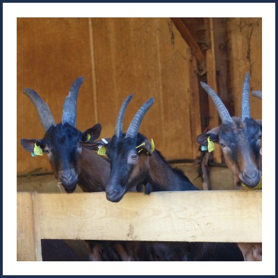 Ferme de La Gourette