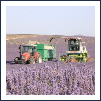 Gaec de la Grange du Bois