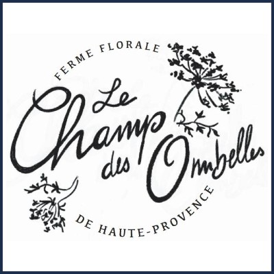 Le Champ des Ombelles